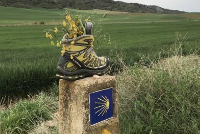 Camino de Santiago