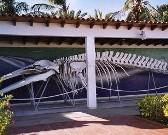Venezuela: El Museo Marino de Margarita