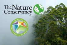 logos de CHTA y The Nature Conservancy, bosque neblinoso