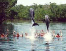 Nuevo delfinario incrementa ofertas de destino turístico cubano de Jardines del Rey