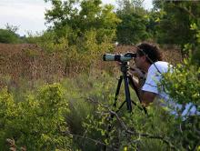 Safaris fotográficos en Argentina