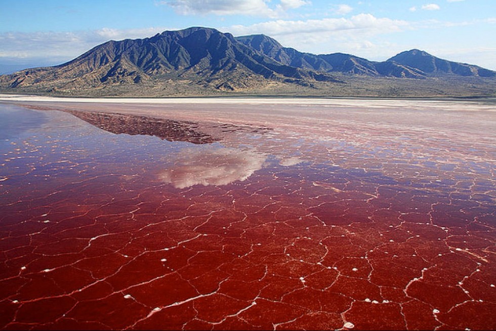 Lago Natron en Tanzania