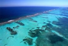 Guatemaltecos aprovechan días feriados para visitar la vecina isla de Roatán 