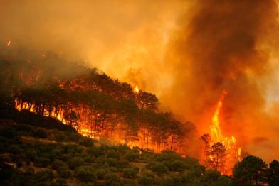 incendios forestales en España y el eclipse