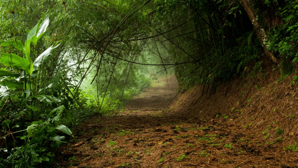 Panamá, camino de carrera, turismo deportivo