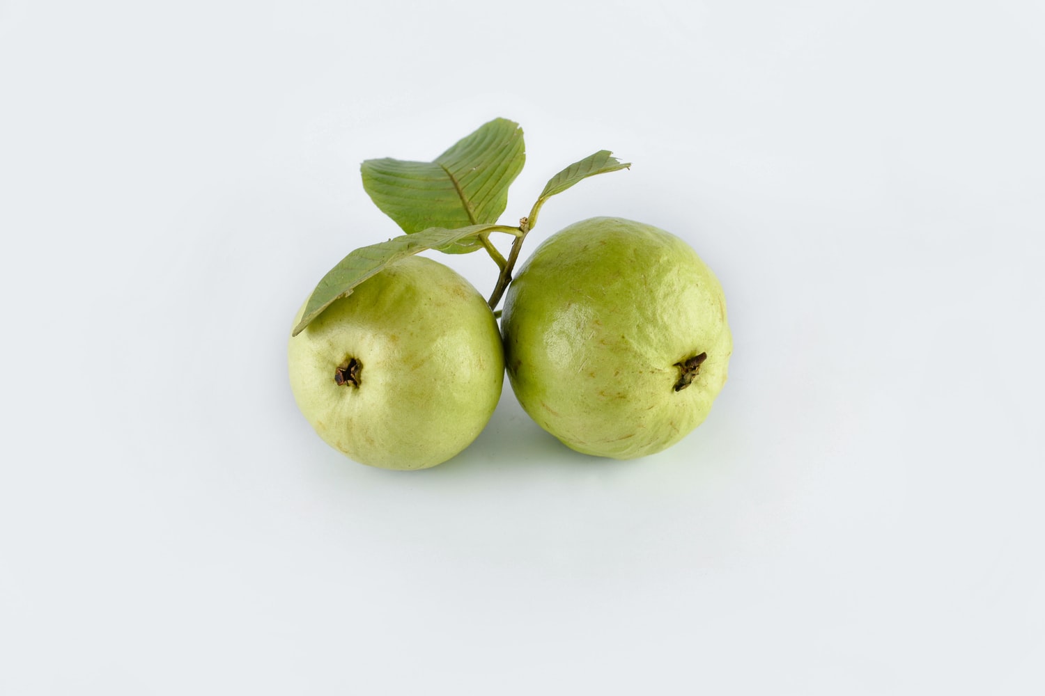 guayaba, dos guayabas unidas