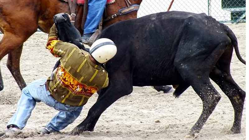 Cuba: En Fiagrop Competencia Internacional Individual de Rodeo