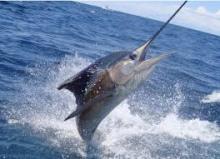 México consolida oferta turística de pesca y golf 