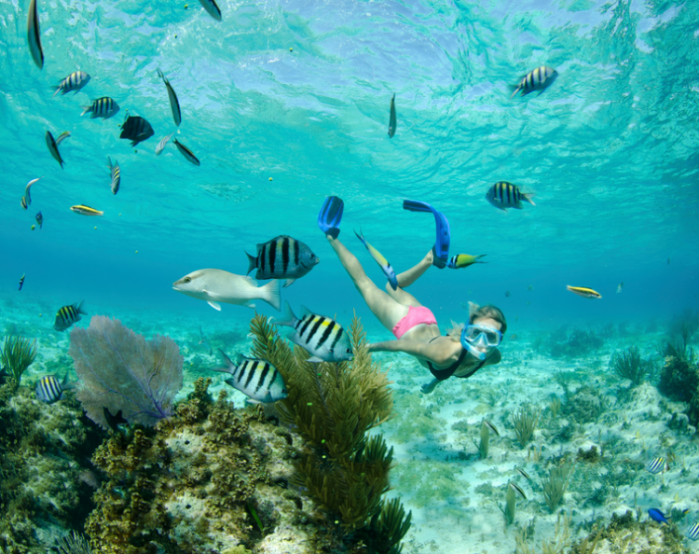 Buceo Islas Caimán