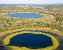 Brasil: El mayor santuario ecológico del mundo se encuentra en este país