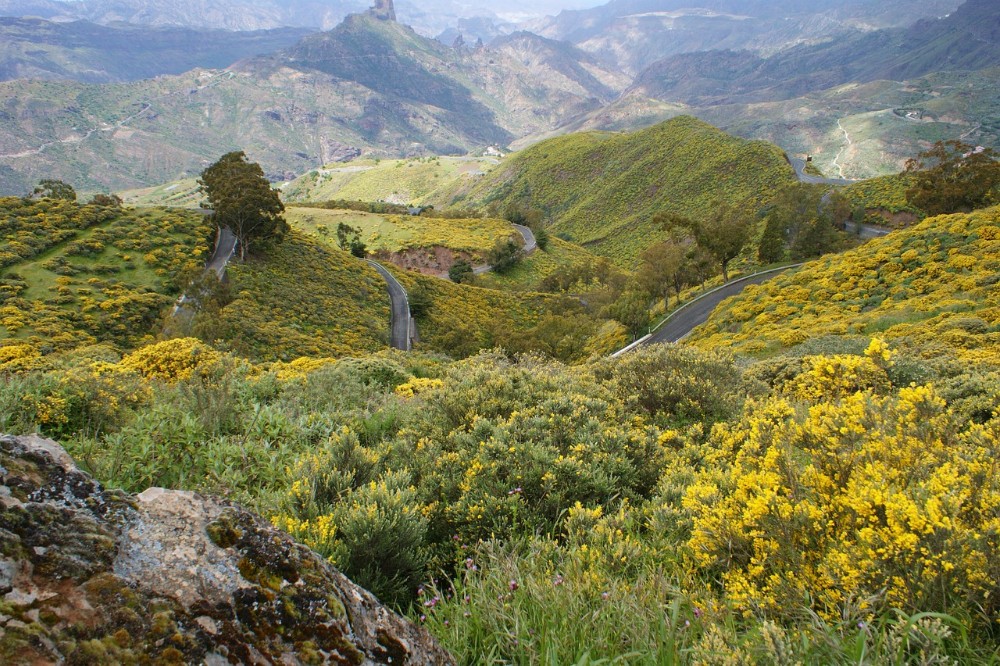 Gran Canaria