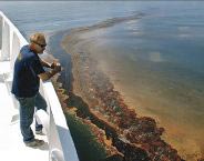 Estados Unidos: Derrame en el Golfo podría costar 4.300 millones de dólares, mayormente al turismo