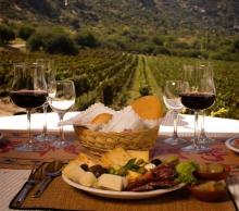 Argentina instaura el Malbec World Day, en homenaje a su uva más reconocida internacionalmente 