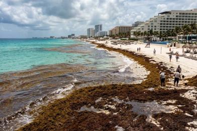 Cancún y Cozumel contra el sargazo