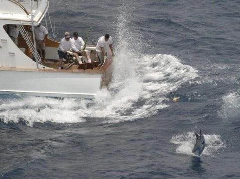 Tripulación cubana gana torneo internacional de pesca Ernest Hemingway