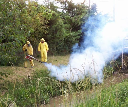 Cuba: Inicia en La Habana curso internacional sobre prevención y control del dengue