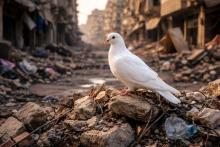 tregua en Medio Oriente